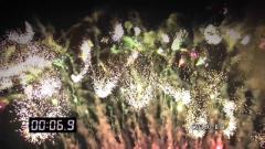 ფეიერვერკი CSJ100 - B11