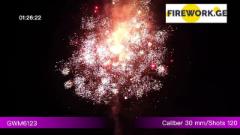 ფეიერვერკი GWM6123