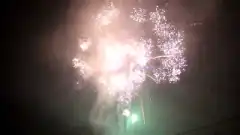 ფეიერვერკი 49 გასროლა 1.2 კალ